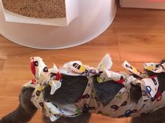 -达爱动物医院·犬猫分区·CT·复杂眼科(远洋山水分院)