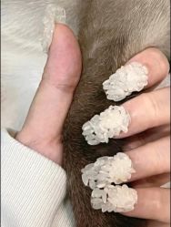 -M·X Nail日式美甲美睫