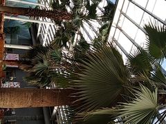 -龙达温泉生态城