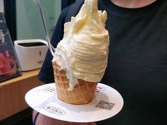 -野人先生现做冰淇淋(北京环宇荟店)