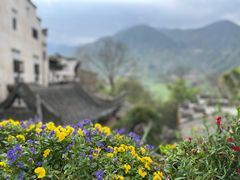 -婺源风景区