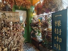 -一棵树咖啡馆(泉乐坊店)