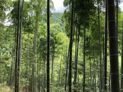 -山沟沟景区