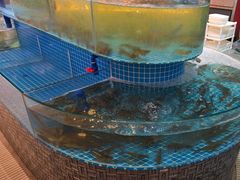 -蓝珊甄选海鲜自助·火锅大排档(近阿那亚店)