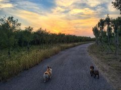 -天津东丽湖风景区