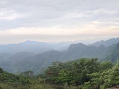 -六里坪国家森林公园