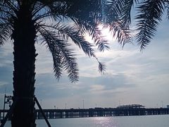 -混果汁(前海嘉里中心店)
