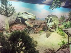 -国家自然博物馆