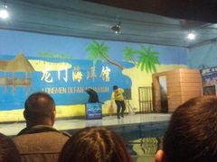 -洛阳龙门海洋馆
