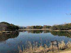 -无锡蠡湖国家湿地公园-蠡园