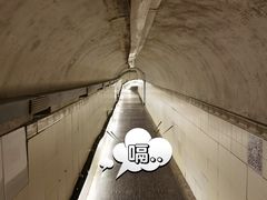 -洞庭洲·防空洞火锅·烧烤·铜锅涮肉(新百广场店)
