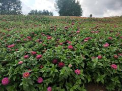 -长春世界雕塑园冰雪艺术天地