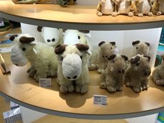 -Behring World of Animals(上海自然博物馆店)