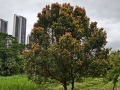 -深圳珠宝博物馆