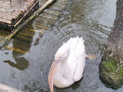 -济南野生动物世界