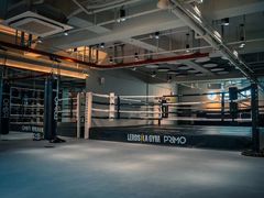 -花环泰拳·勒德斯拉泰拳馆(静安店)