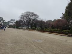 -名古屋城