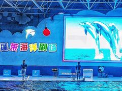 -蓬莱欧乐堡海洋极地世界