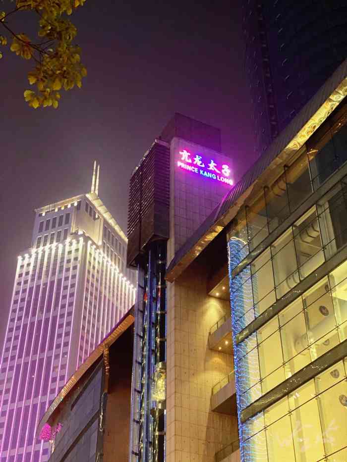 亢龙太子酒轩(金融店)-"到武汉旅游时朋友专门介绍了两家店,这是其.