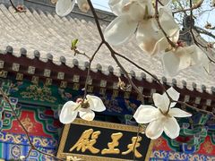 -护国法轮寺