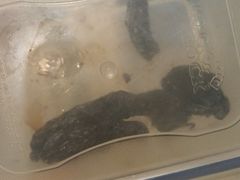 -上海全国土特产食品商场(淮海中路店)