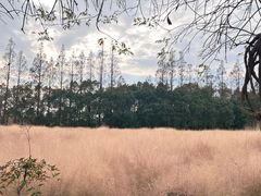-嘉北郊野公园