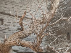 -敦煌市博物馆