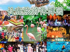 -长鹿旅游休博园