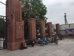 -桃花堤公园