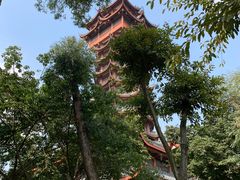 -塔子山公园