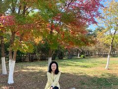 -长春世界雕塑园冰雪艺术天地