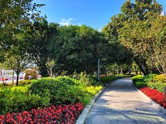 -北外滩滨江绿地