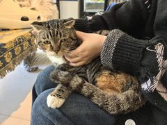 -平行世界·猫咖(首经贸店)