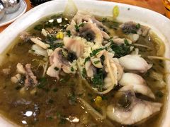 -焯明脆肉鲩世家(金沙洲店)