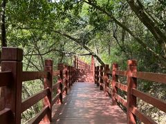 -广州白江湖森林公园