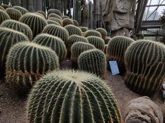 -南山植物园