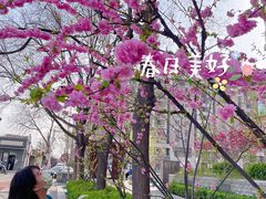 -祖母的厨房美式西餐厅(北京坊店)