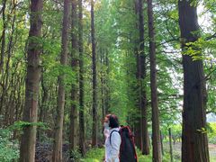 -同里国家湿地公园