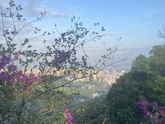 -广州市白云山风景名胜区