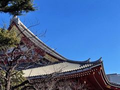 -浅草寺
