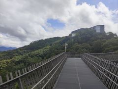 -福道