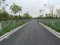-天津东丽湖风景区