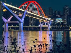-菜园坝水果市场