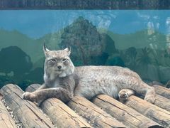 -昆明动物园