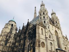 -斯蒂芬主教座堂(Stephansdom)