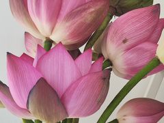 -刘长兴(逸仙桥店)