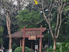 -海珠湖公园
