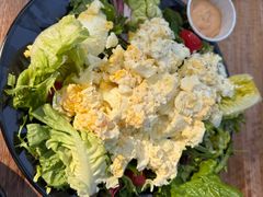 -Tubestation站点比萨(五道营店)