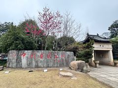 -明月山天沐温泉度假村