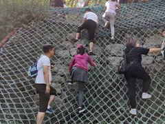 -原山国家森林公园